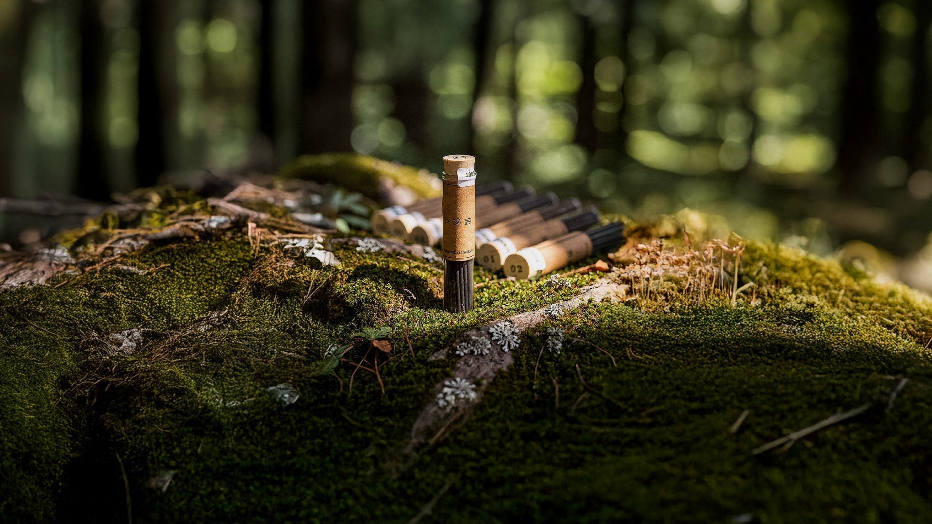 森と共に呼吸する - 植物△線香