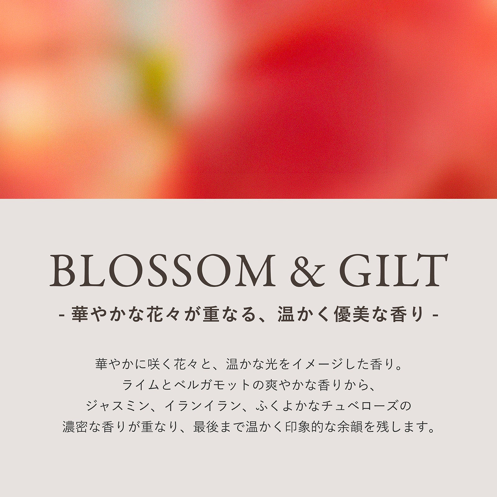 Ashley & Co ハンドウォッシュ Blossom & Gilt 詰め替え用