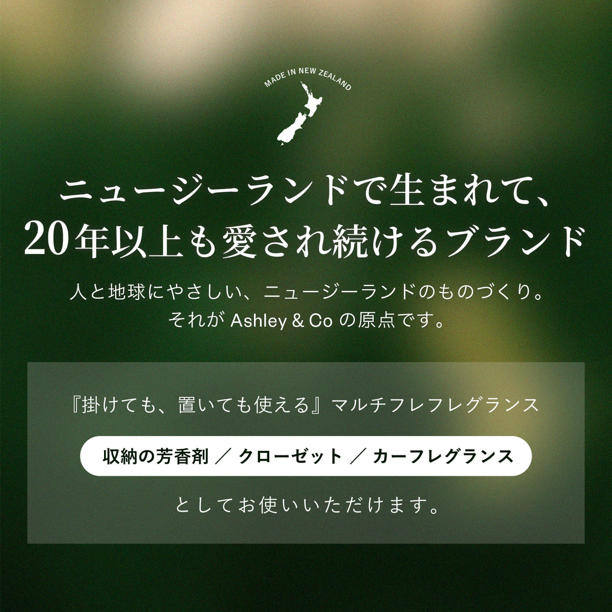 Ashley & Co パフュームカード YULEPINE