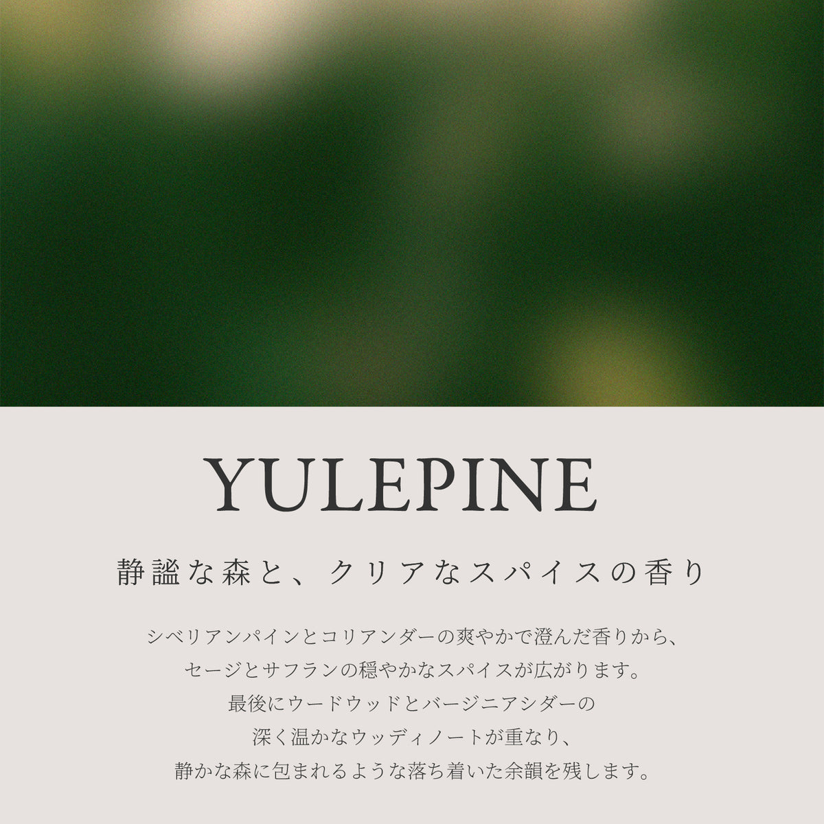 Ashley & Co パフュームカード YULEPINE