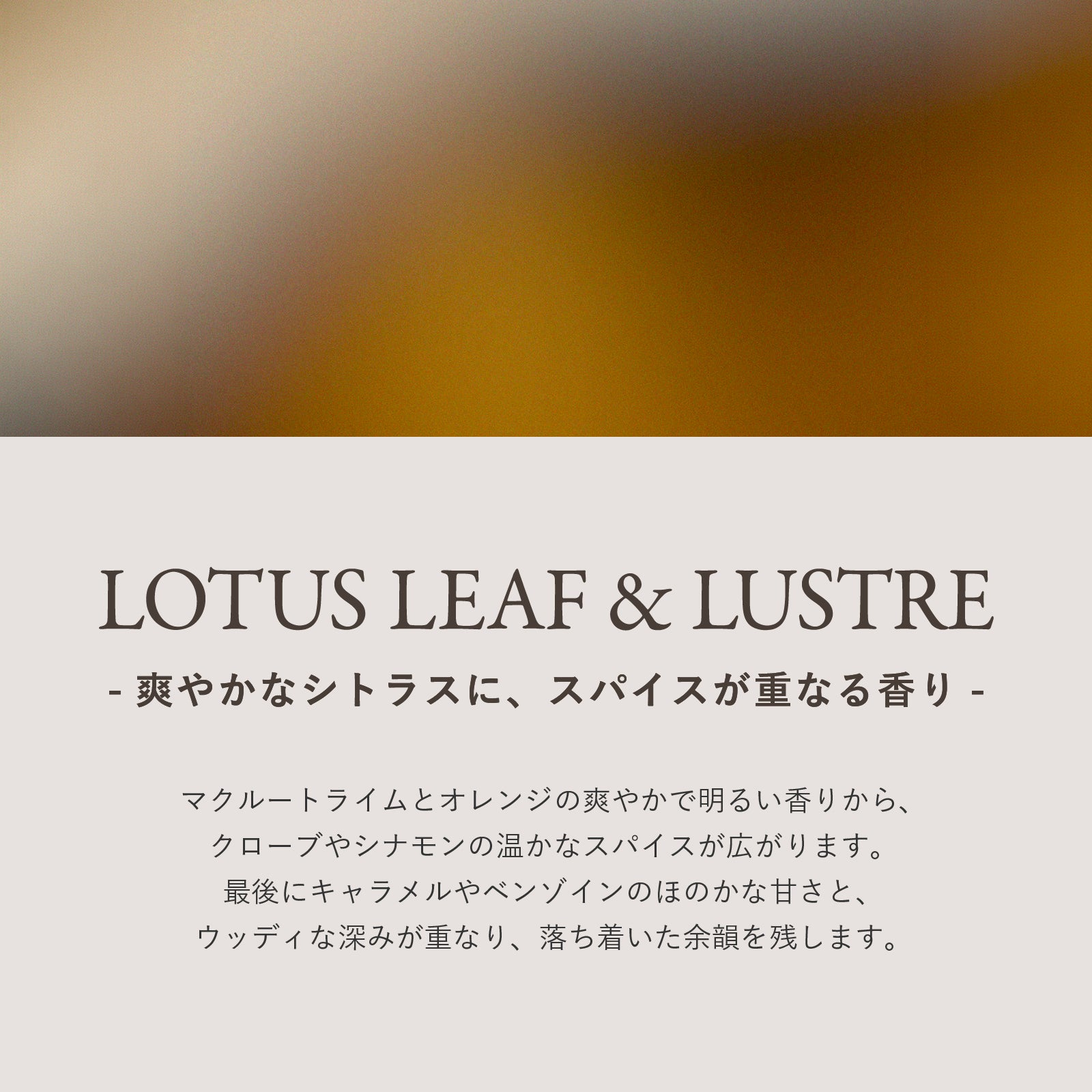 Ashley & Co ディッシュウォッシュ Lotus Leaf & Lustre