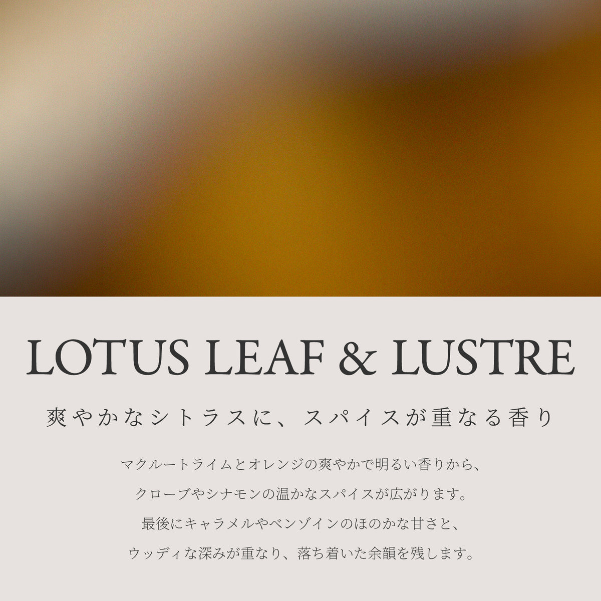 Ashley & Co ディッシュウォッシュ Lotus Leaf & Lustre