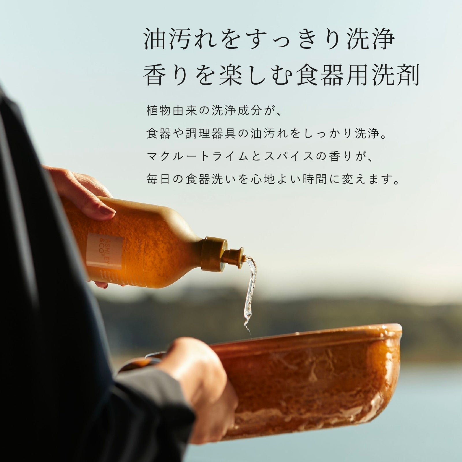 Ashley & Co ディッシュウォッシュ Lotus Leaf & Lustre