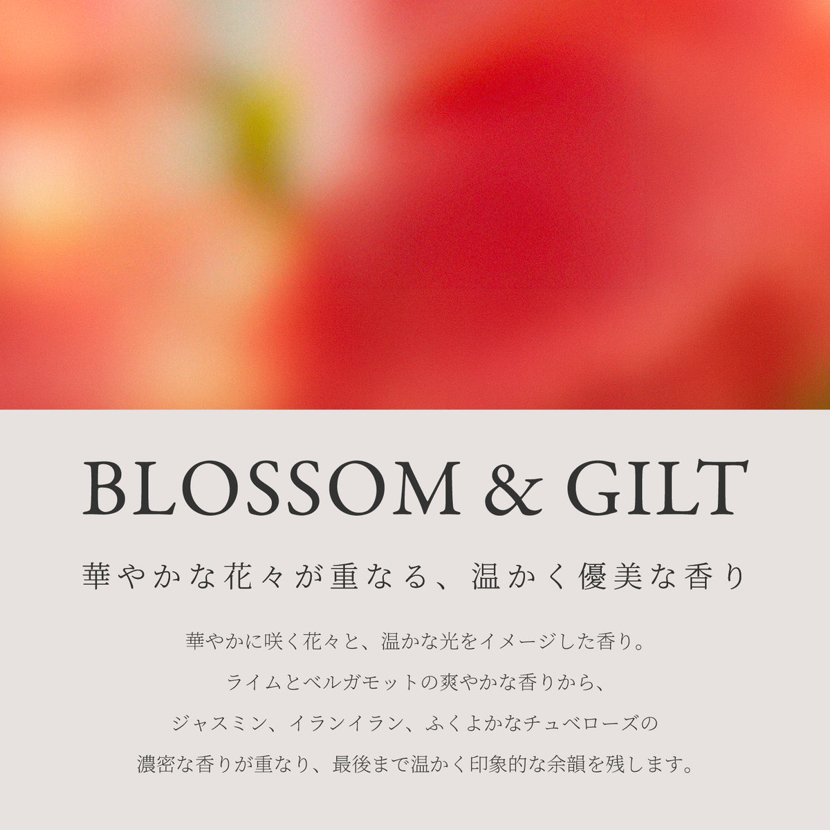 Ashley & Co アロマディフューザー Blossom & Gilt